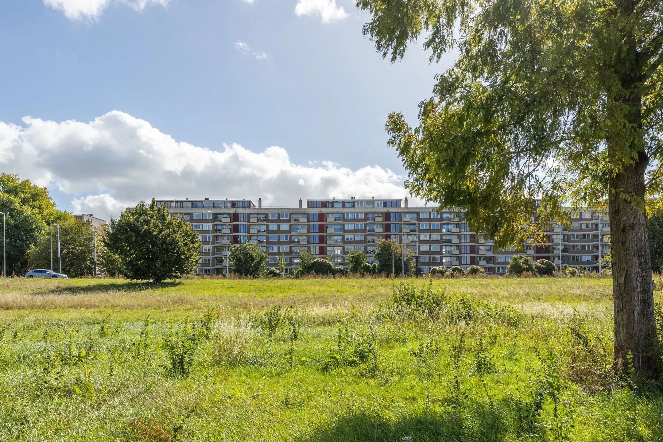 Eastonstraat 87 Photo Blur 34