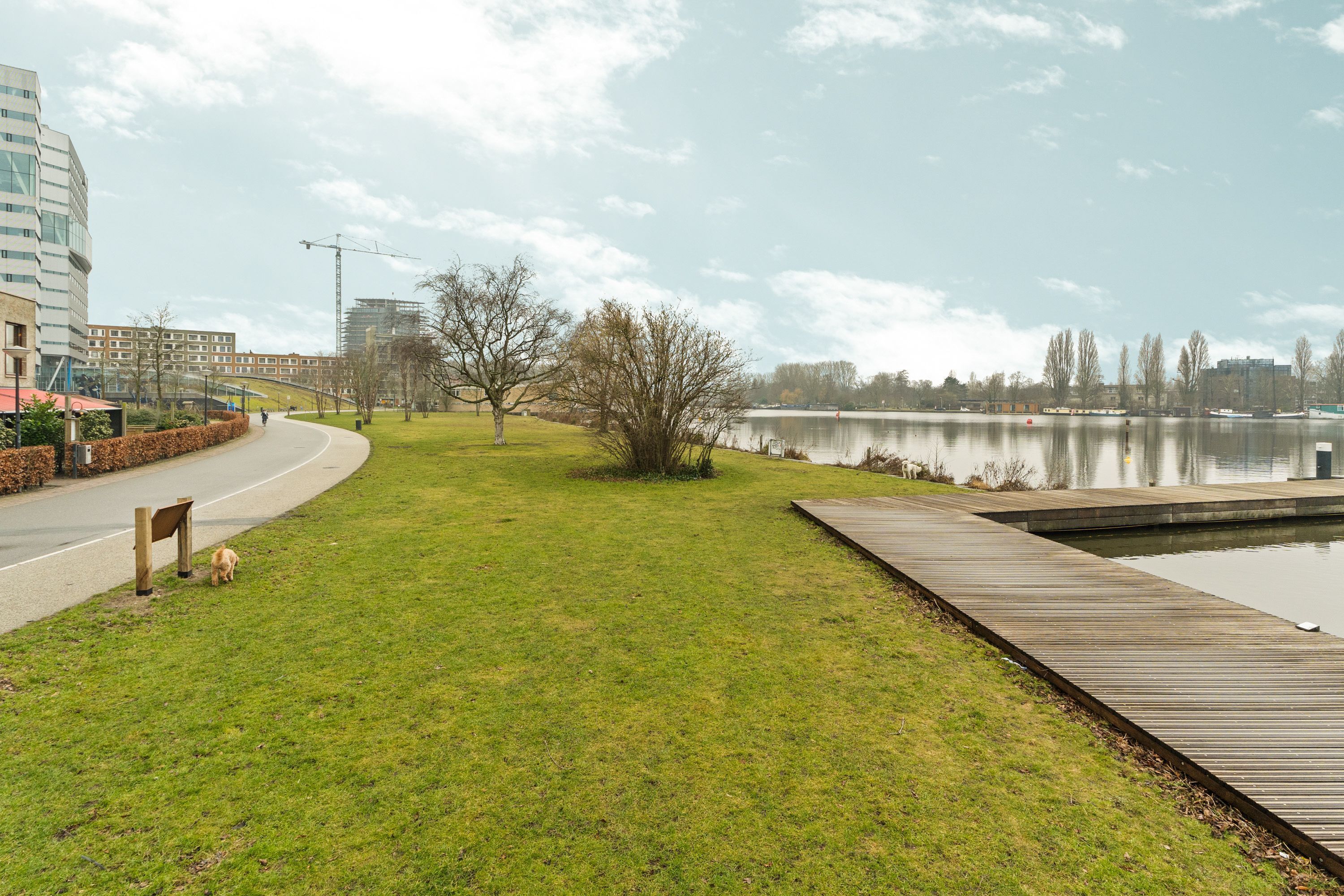 Omval 397 Photo Blur 30