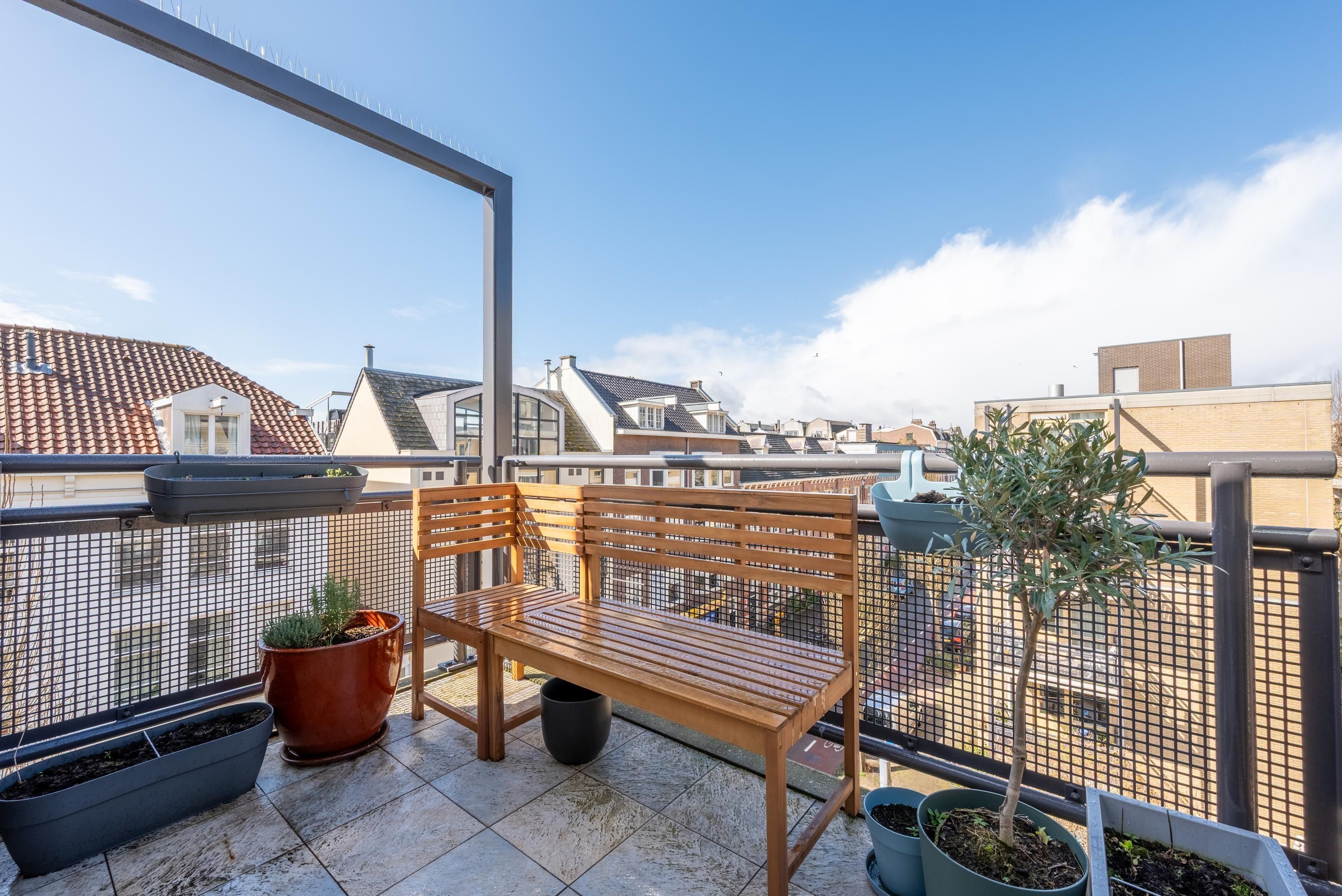 Plantage Doklaan 55 Photo Blur 10