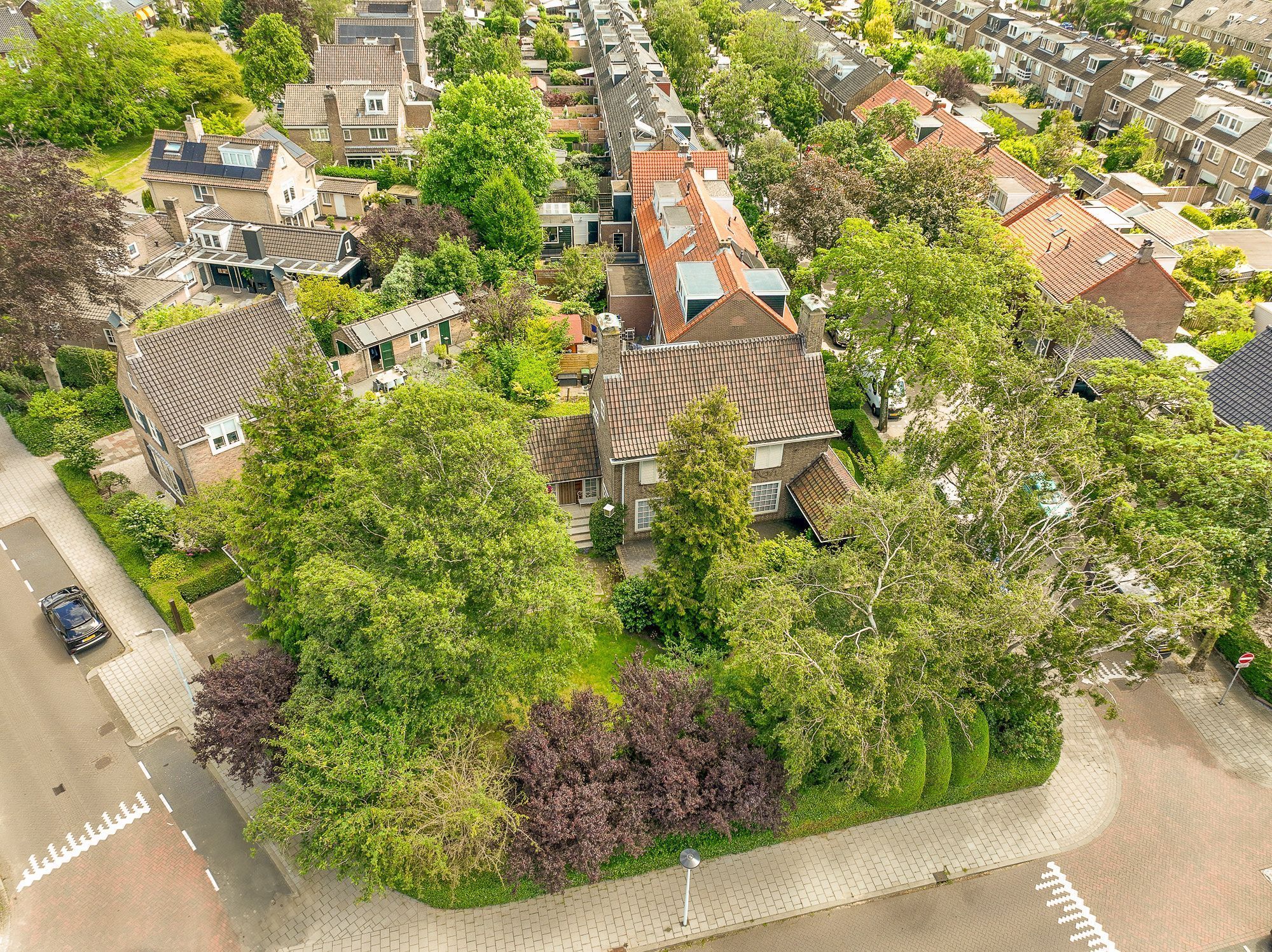 Provincialeweg 250 Photo Blur 18