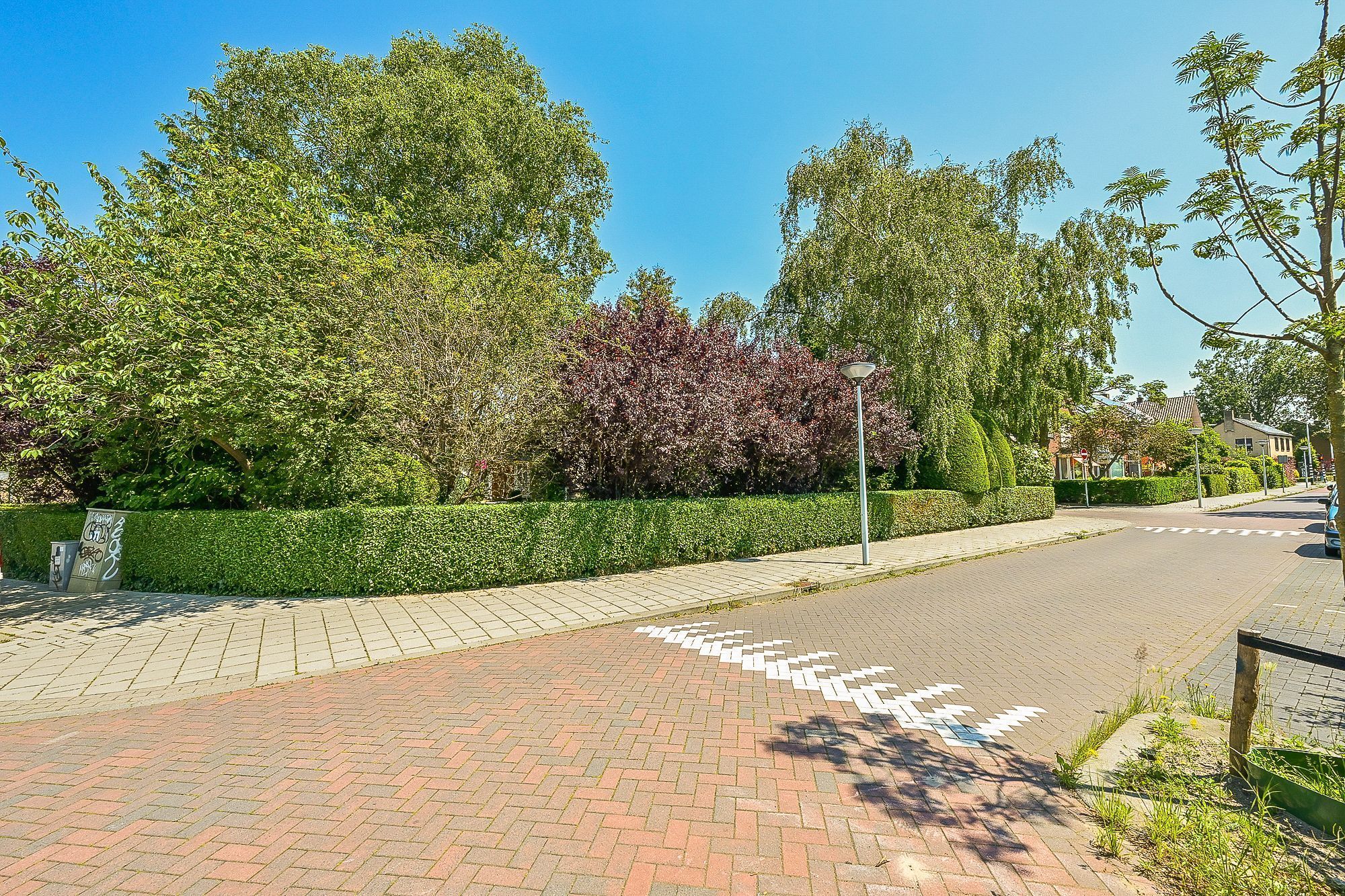 Provincialeweg 250 Photo Blur 19