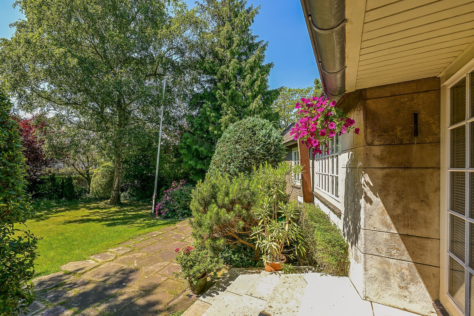 Provincialeweg 250 Photo Blur 20