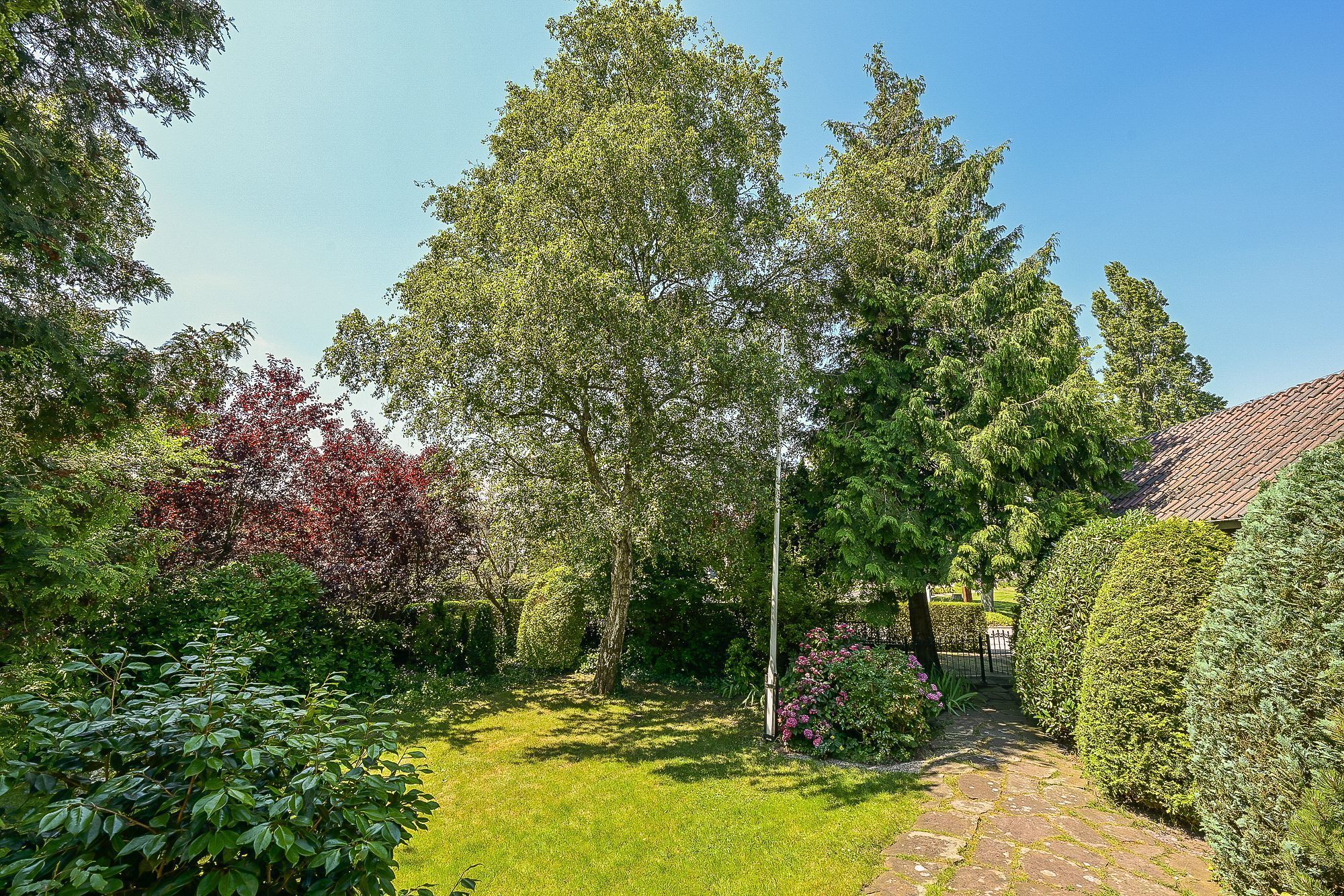 Provincialeweg 250 Photo Blur 26