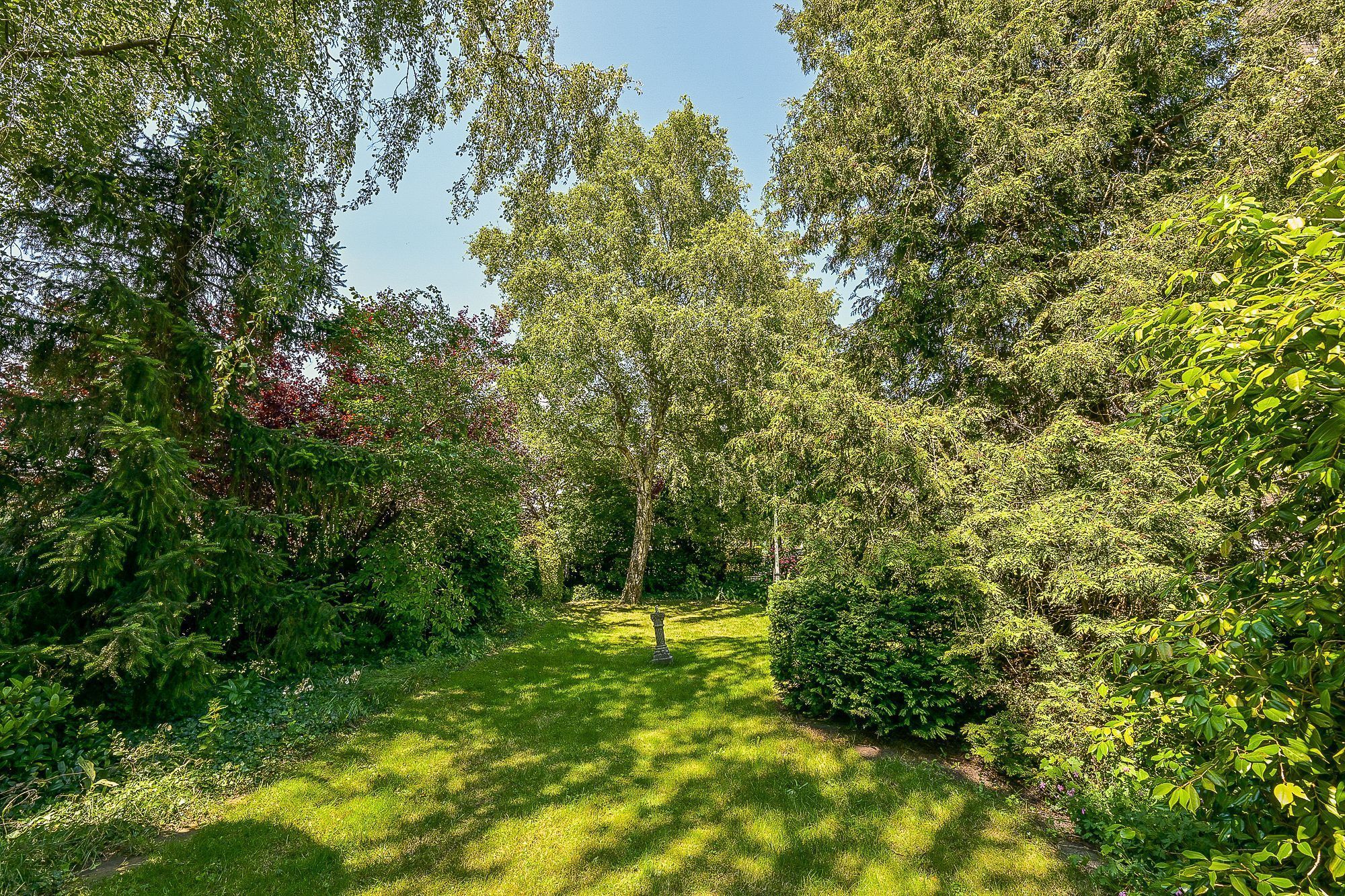 Provincialeweg 250 Photo Blur 30