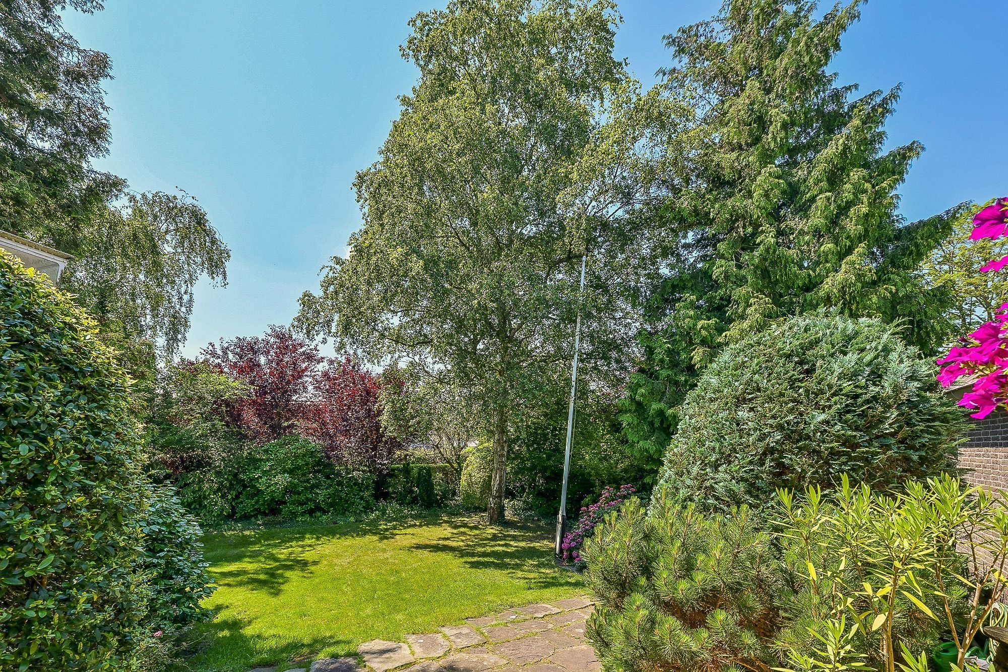 Provincialeweg 250 Photo Blur 34