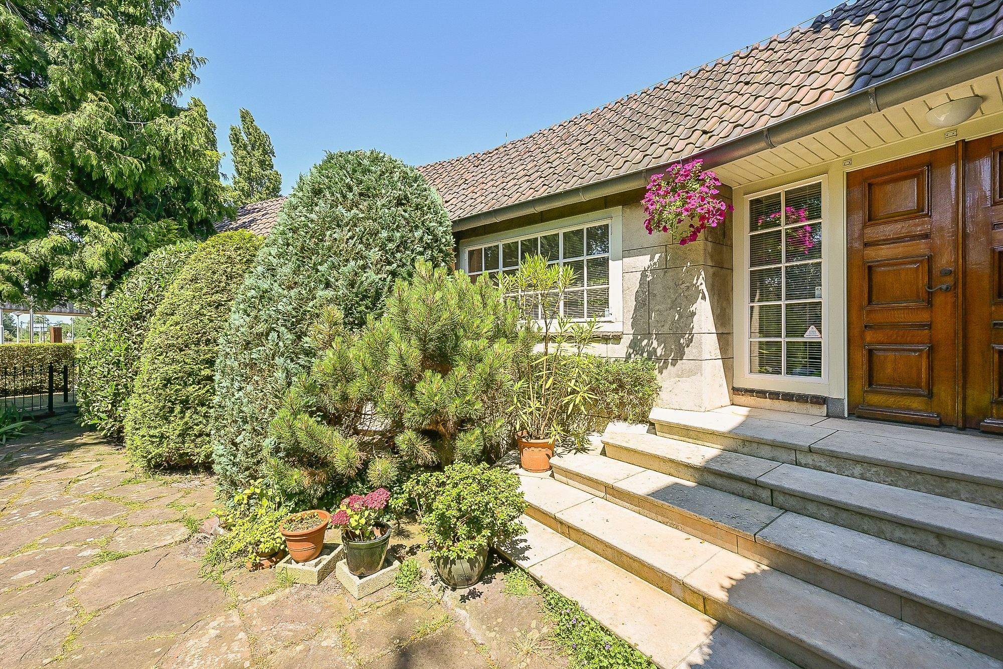 Provincialeweg 250 Photo Blur 33