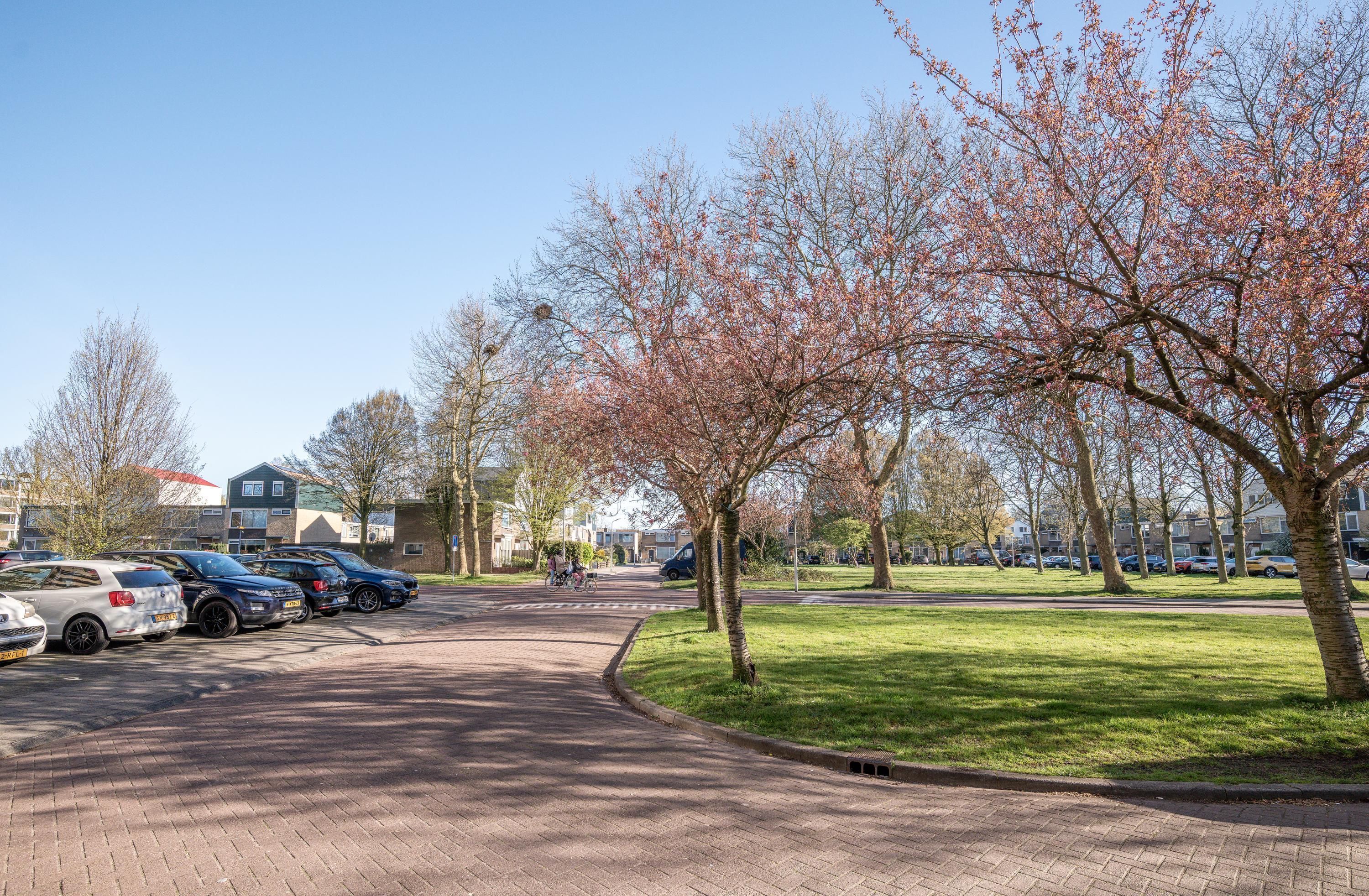 Pinksterbloemweg 141 Photo Blur 18