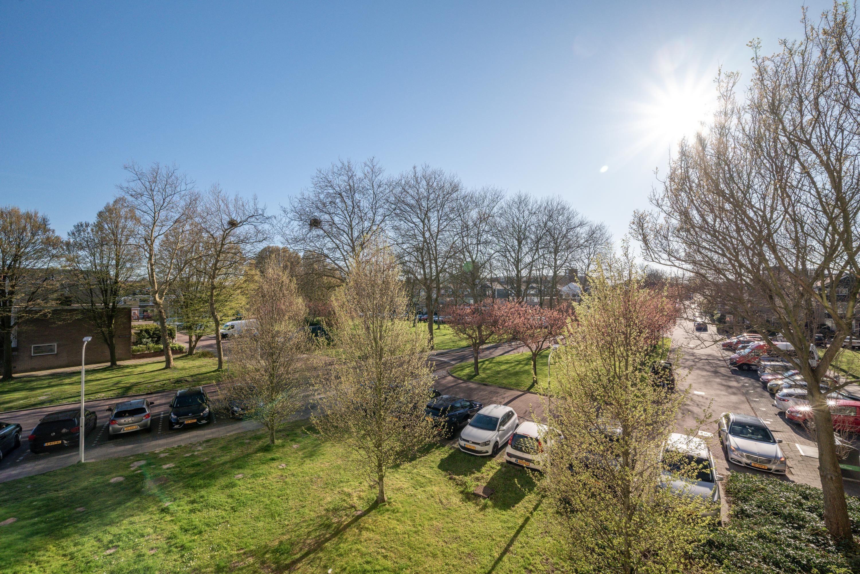 Pinksterbloemweg 141 Photo Blur 19