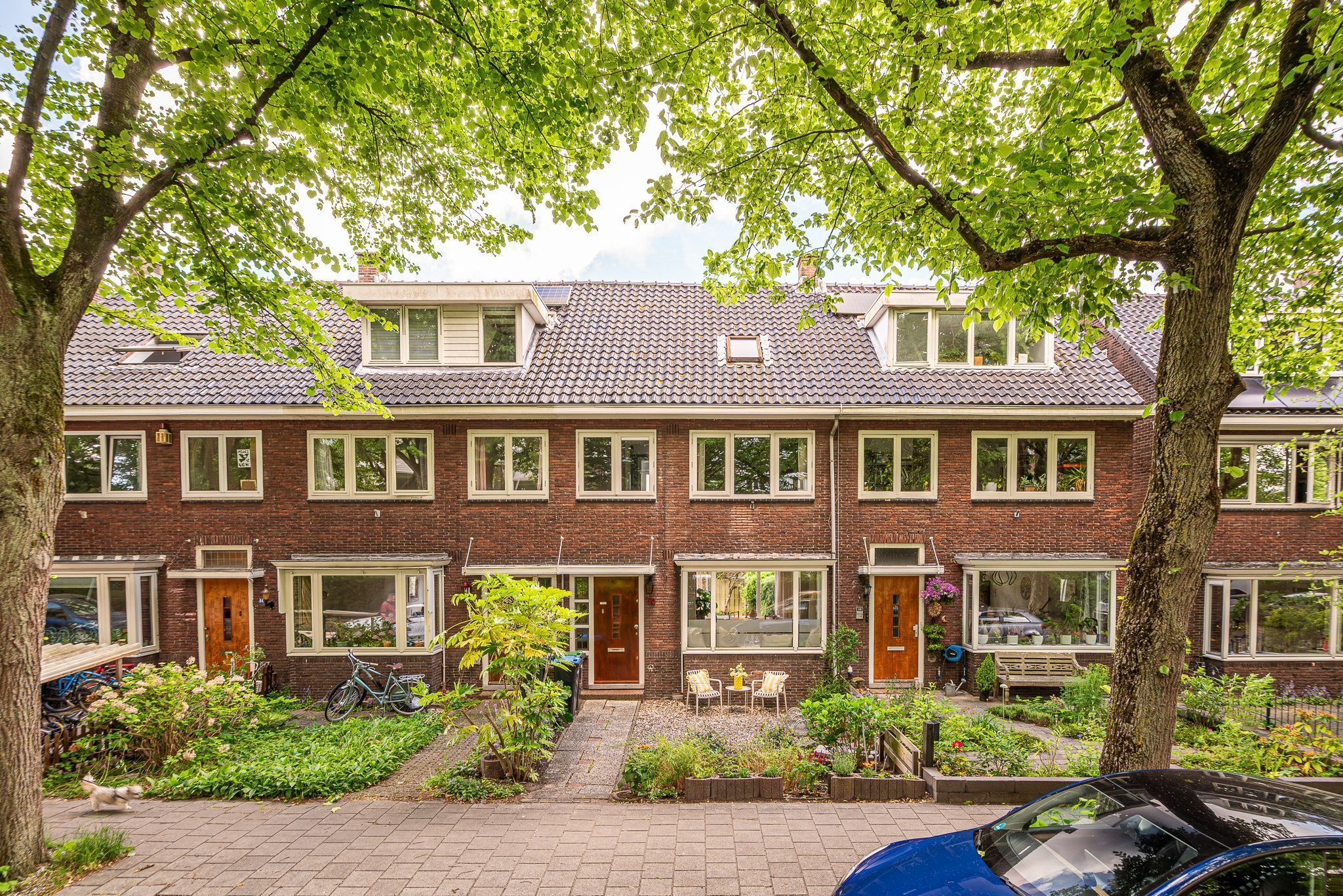 Frans Halsstraat 60 Photo Blur 24