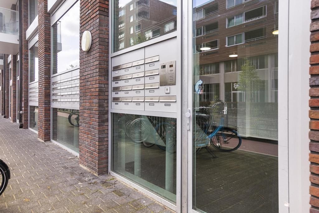Rinus Michelslaan 183 Photo Blur 22