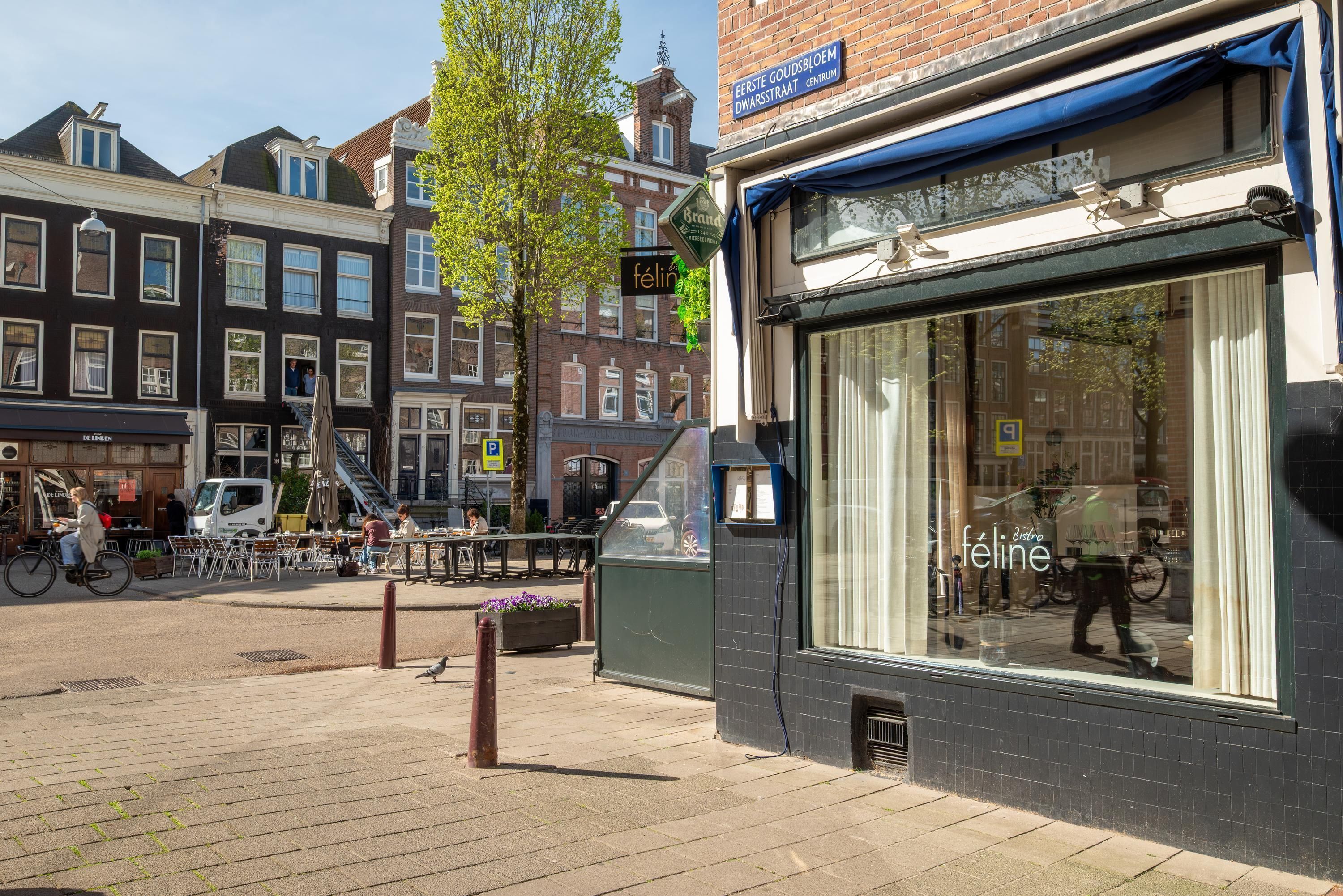 Eerste Goudsbloemdwarsstraat 14-1 Photo Blur 24