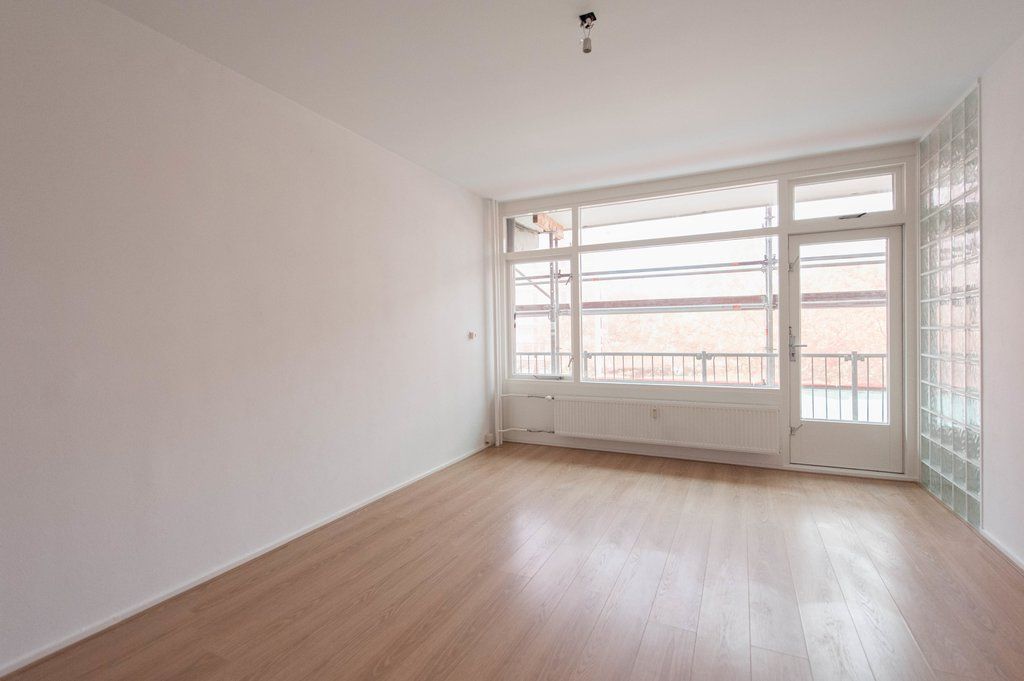 Elviraland 206 Photo 1