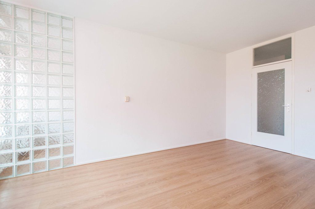 Elviraland 206 Photo 0