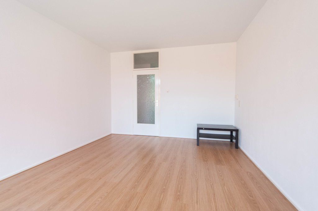 Elviraland 206 Photo 4