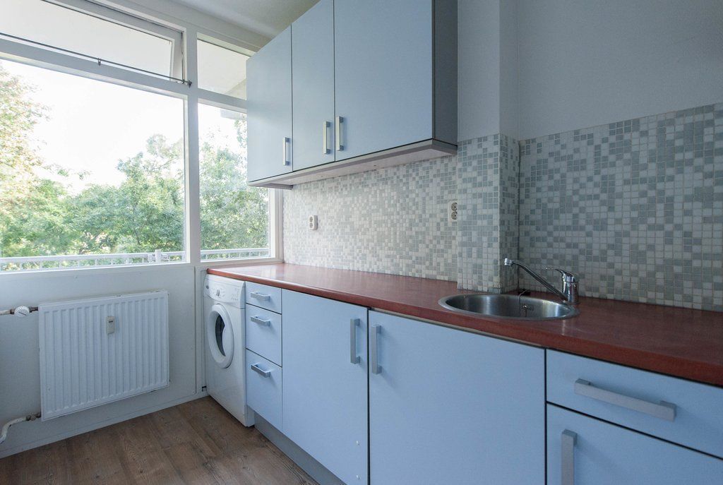 Elviraland 206 Photo 2