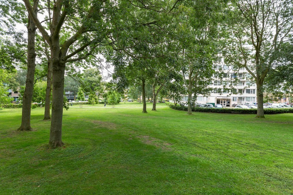 Tarwekamp 95 Photo 2