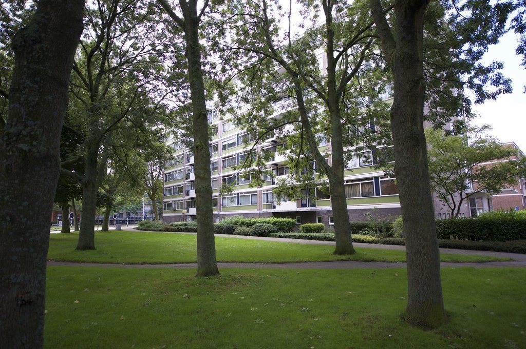 Het Kleine Loo 172 Photo 0