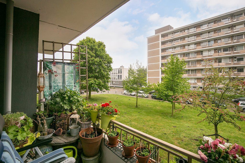 Zwedenburg 8 Photo 0