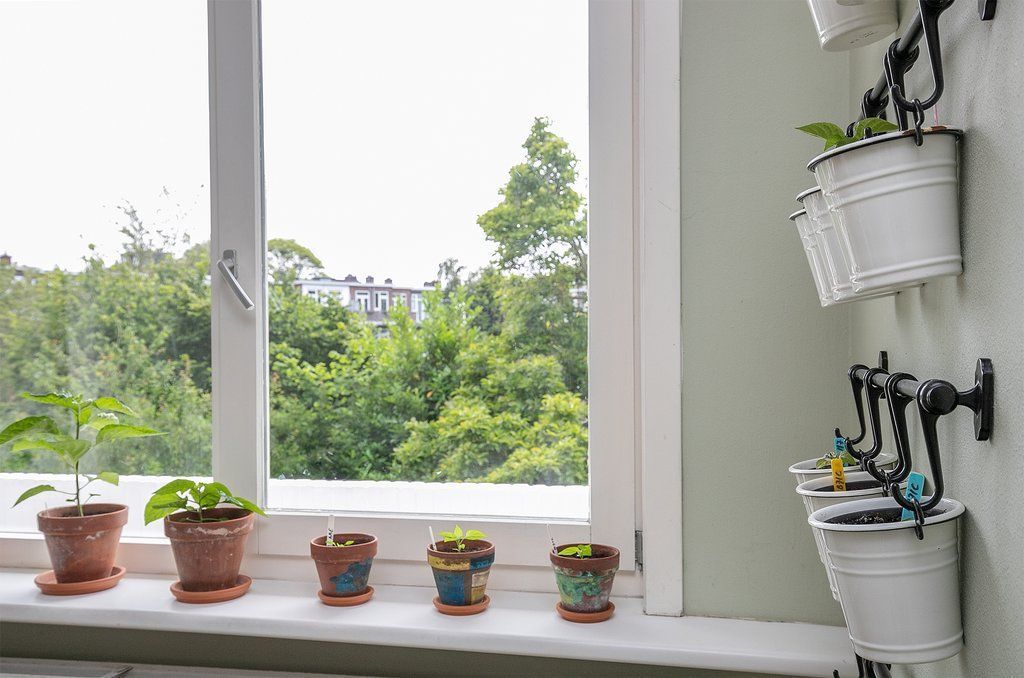 Juliana van Stolberglaan 375 Photo 0