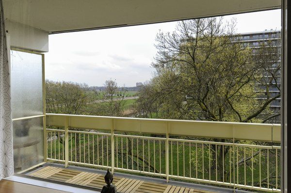 Isabellaland 1162 Photo 3