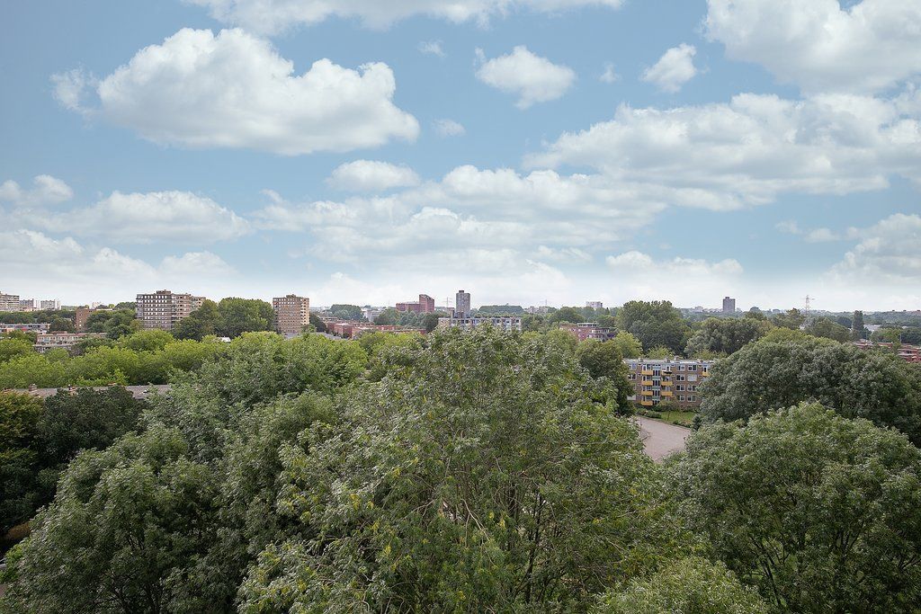 Tarwekamp 167 Photo 4