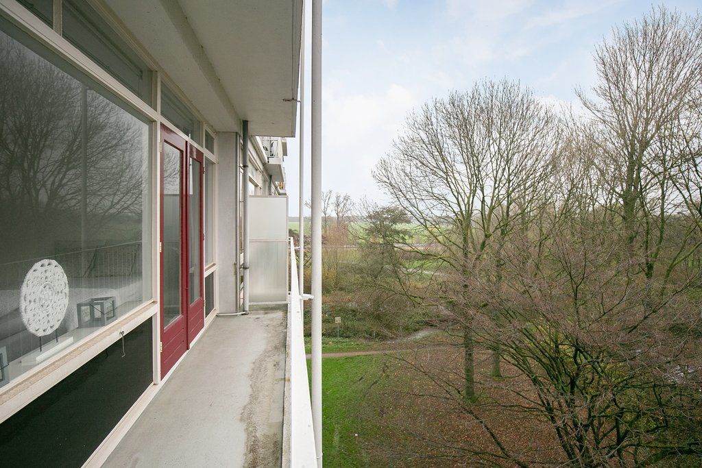 Isabellaland 1614 Photo 2