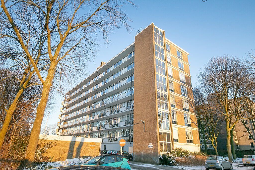 Isabellaland 1652 Photo 4