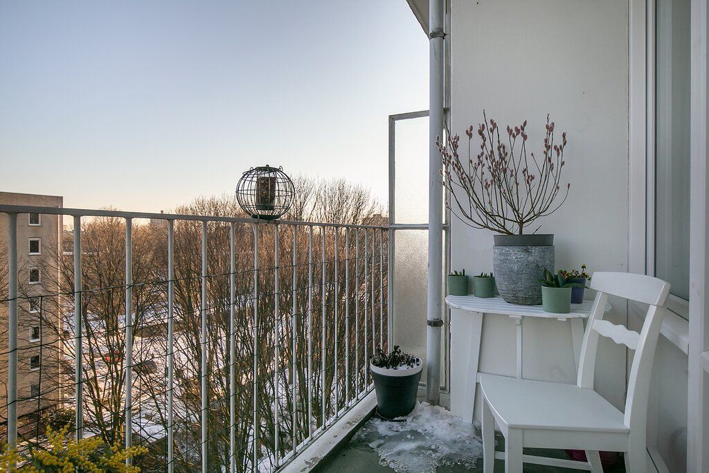 Isabellaland 1652 Photo 3