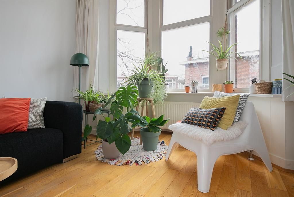 Van der Capellenstraat 30 Photo 2