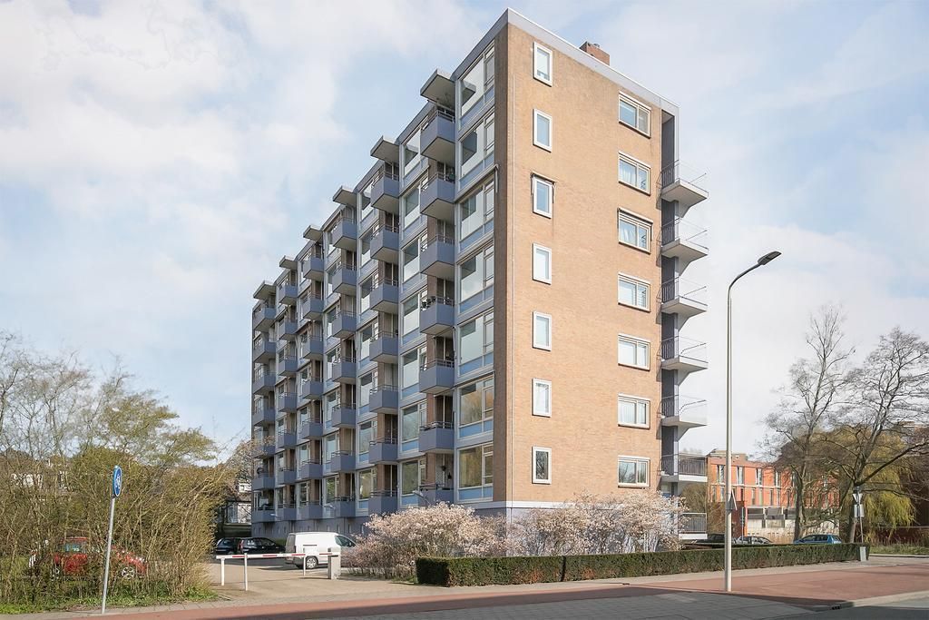 Norenburg 241 Photo 2