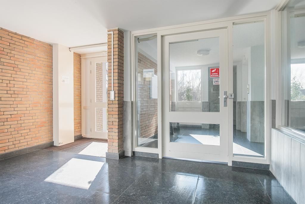 Norenburg 241 Photo 4