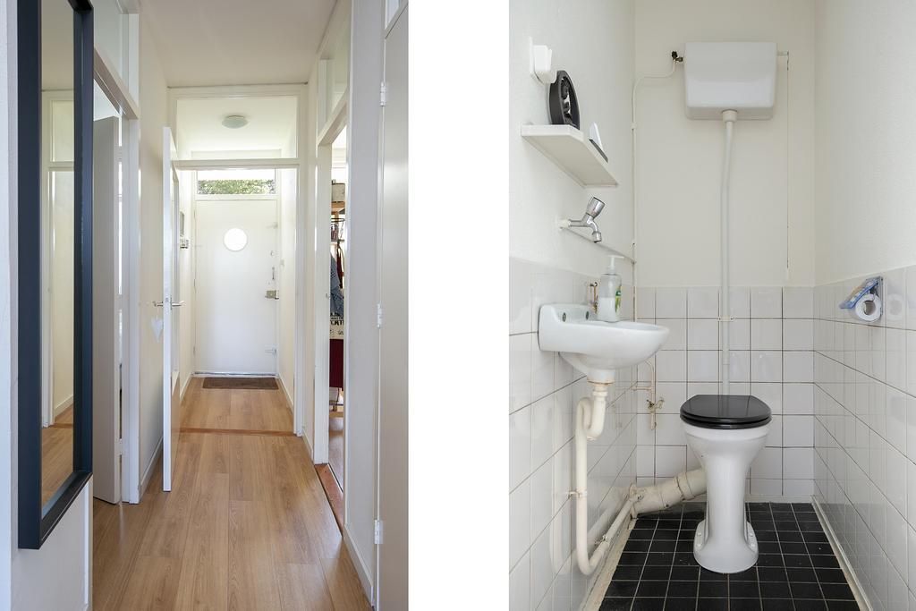 Elviraland 234 Photo 4