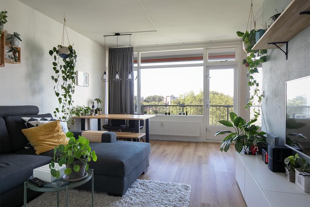 Elviraland 234 Photo 0