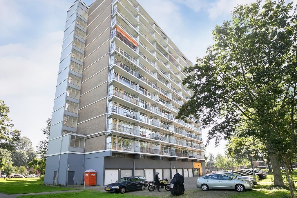 Elviraland 234 Photo 2