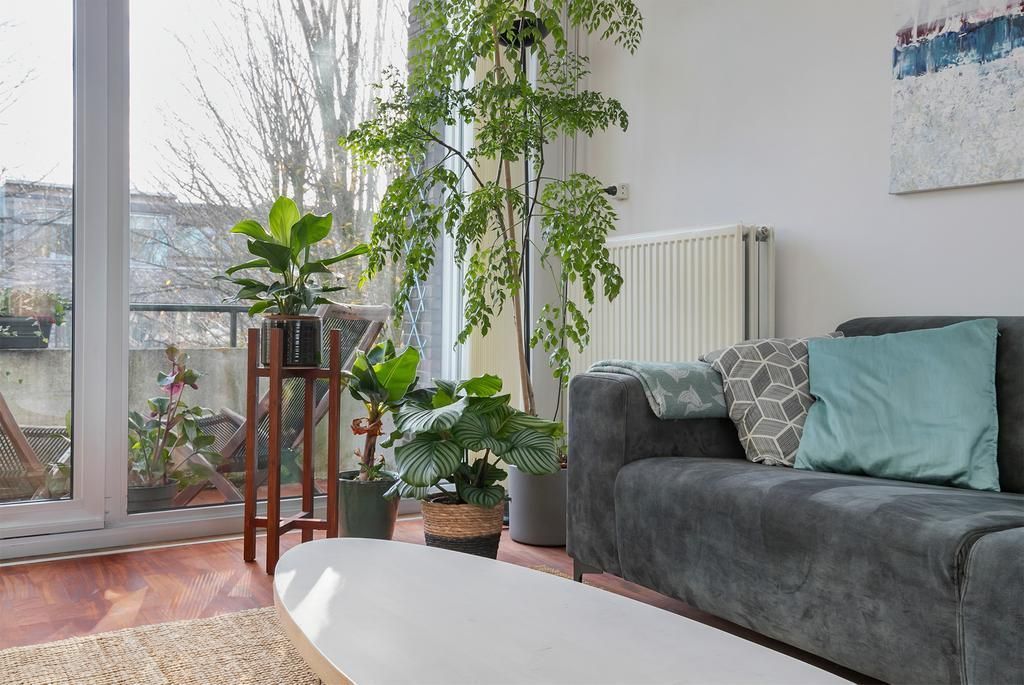 De Sillestraat 222 Photo 2