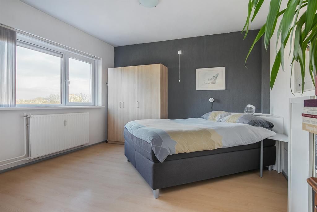 Norenburg 203 Photo 2