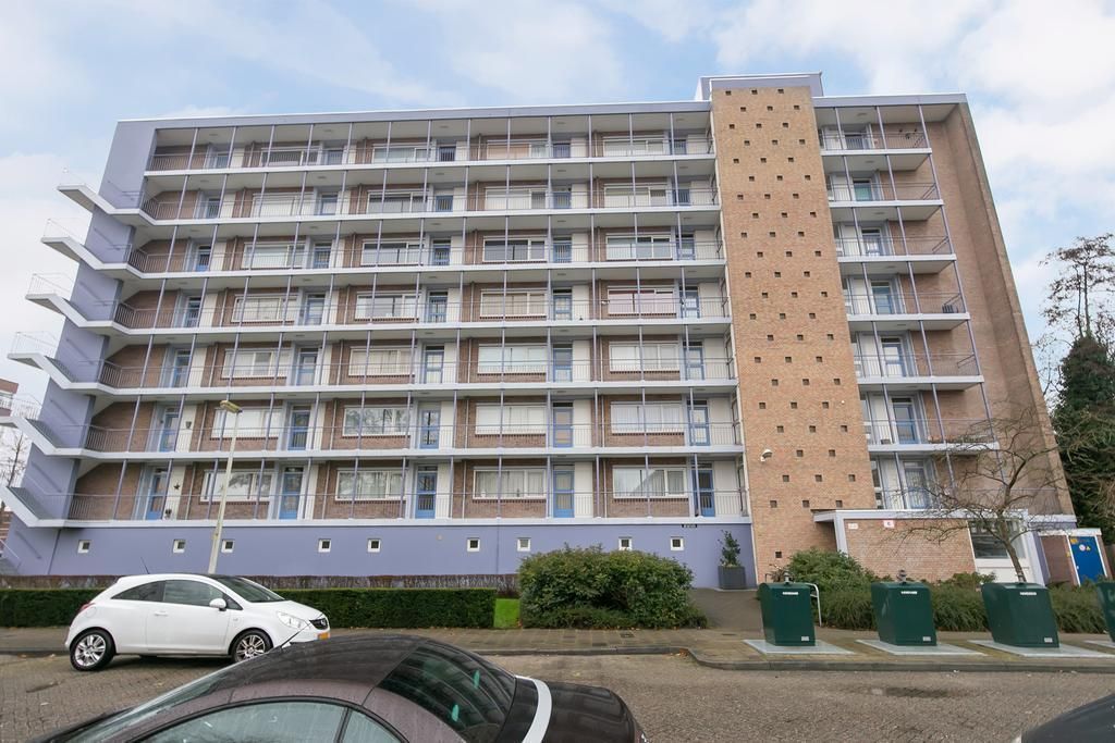 Norenburg 163 Photo 4