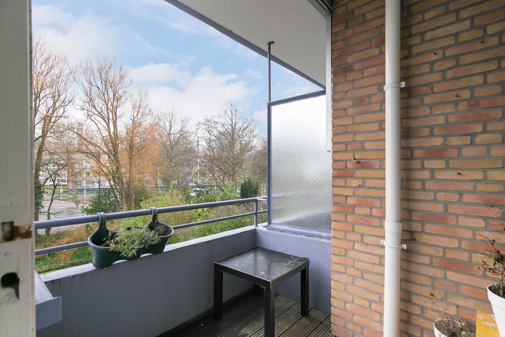 Norenburg 163 Photo 2