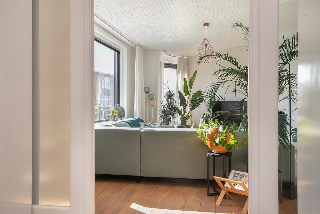 De Sillestraat 152 Photo 0