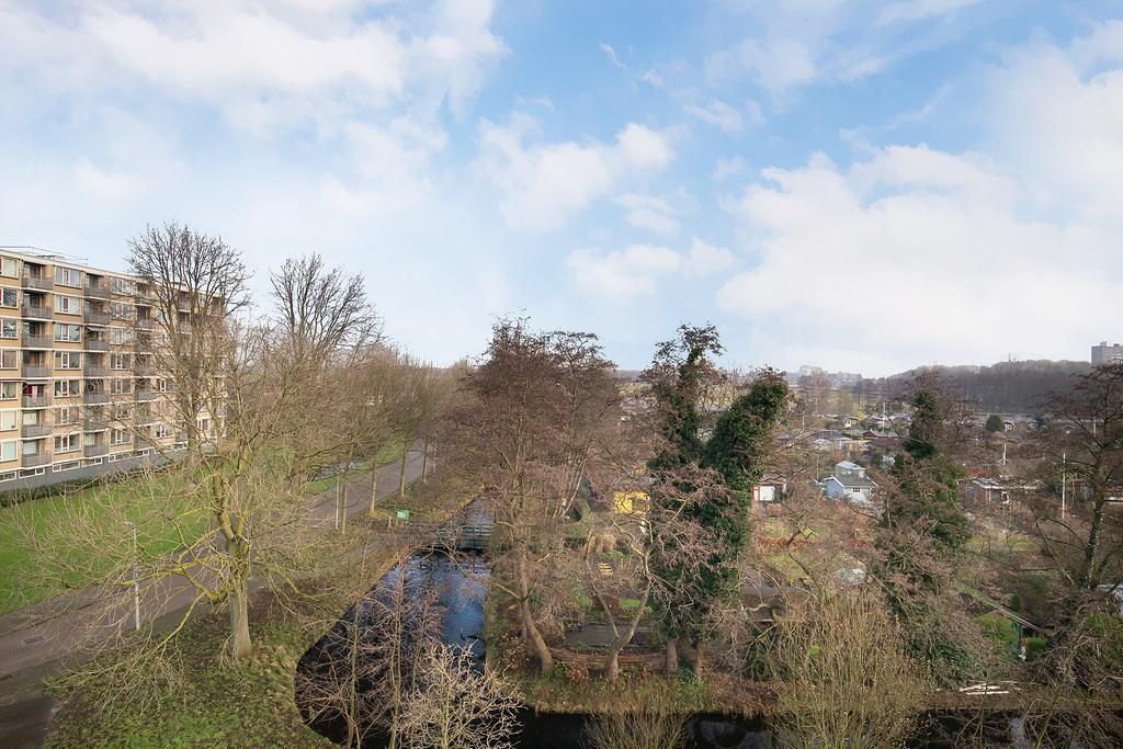 Margarethaland 517 Photo 4