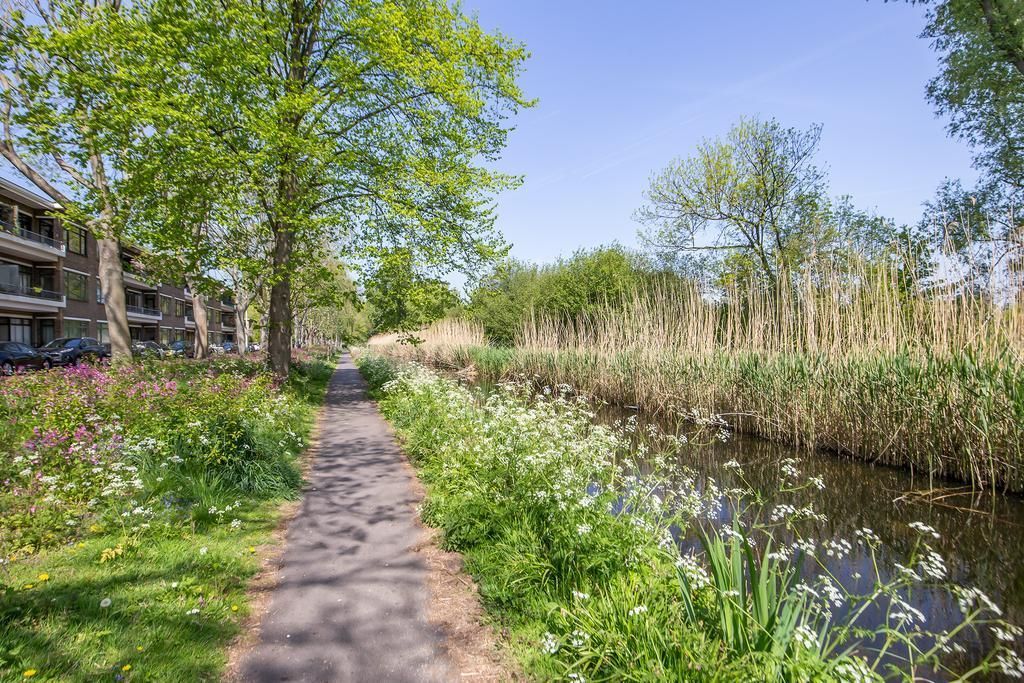 Carel Reinierszkade 289 Photo 3