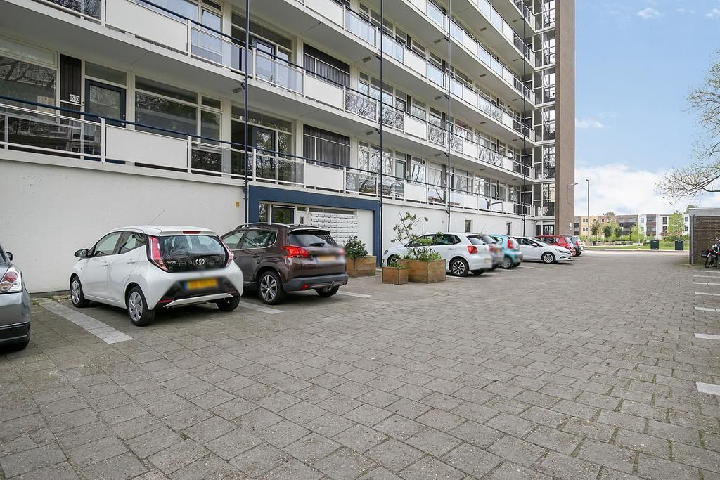 Isabellaland 1624 Photo 4