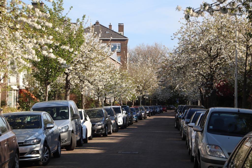 Paulinastraat 22 Photo 2