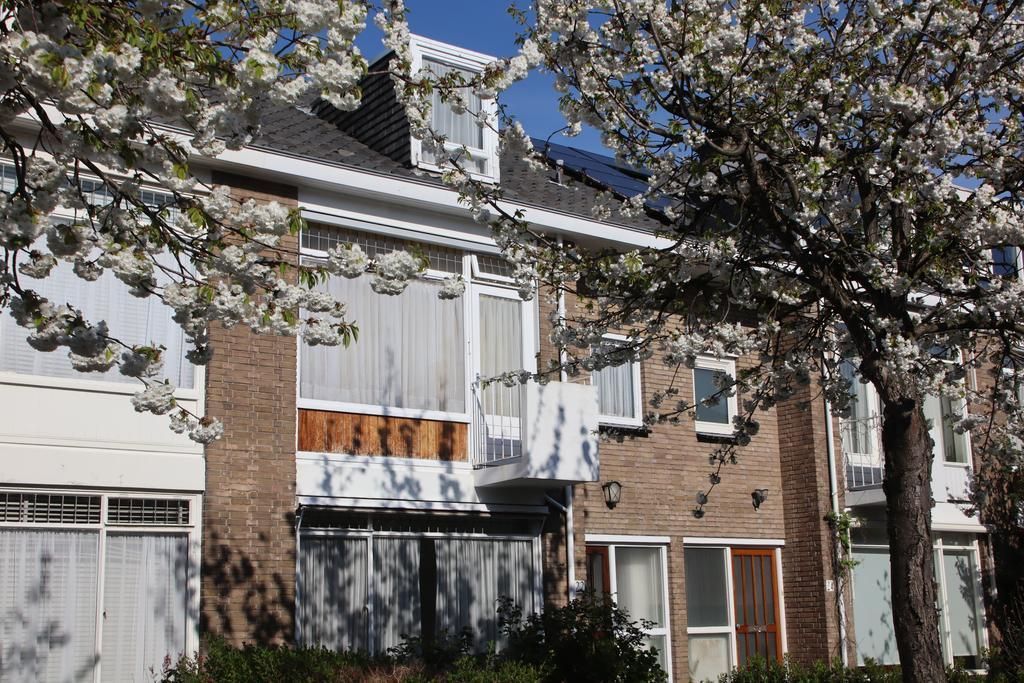 Paulinastraat 22 Photo 0