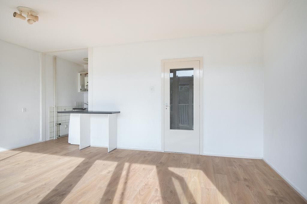 Isabellaland 1632 Photo 1