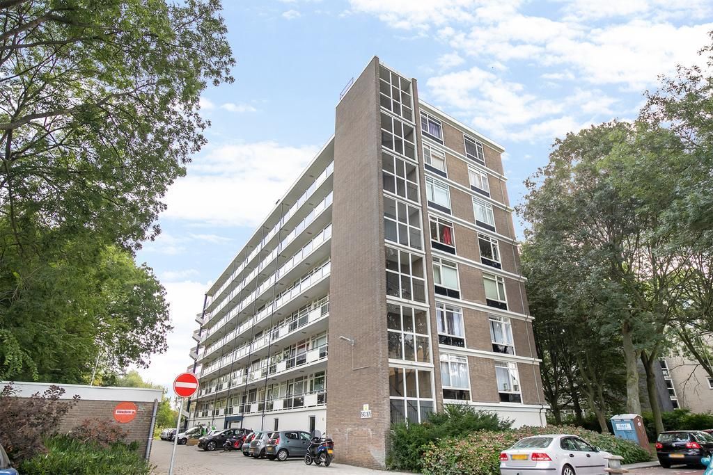 Isabellaland 1632 Photo 3