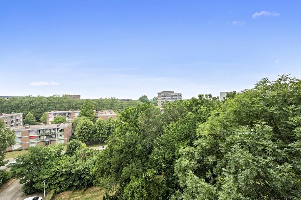 Denenburg 135 Photo 1