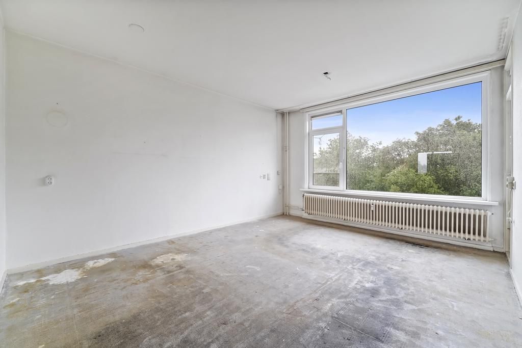 Norenburg 193 Photo 4