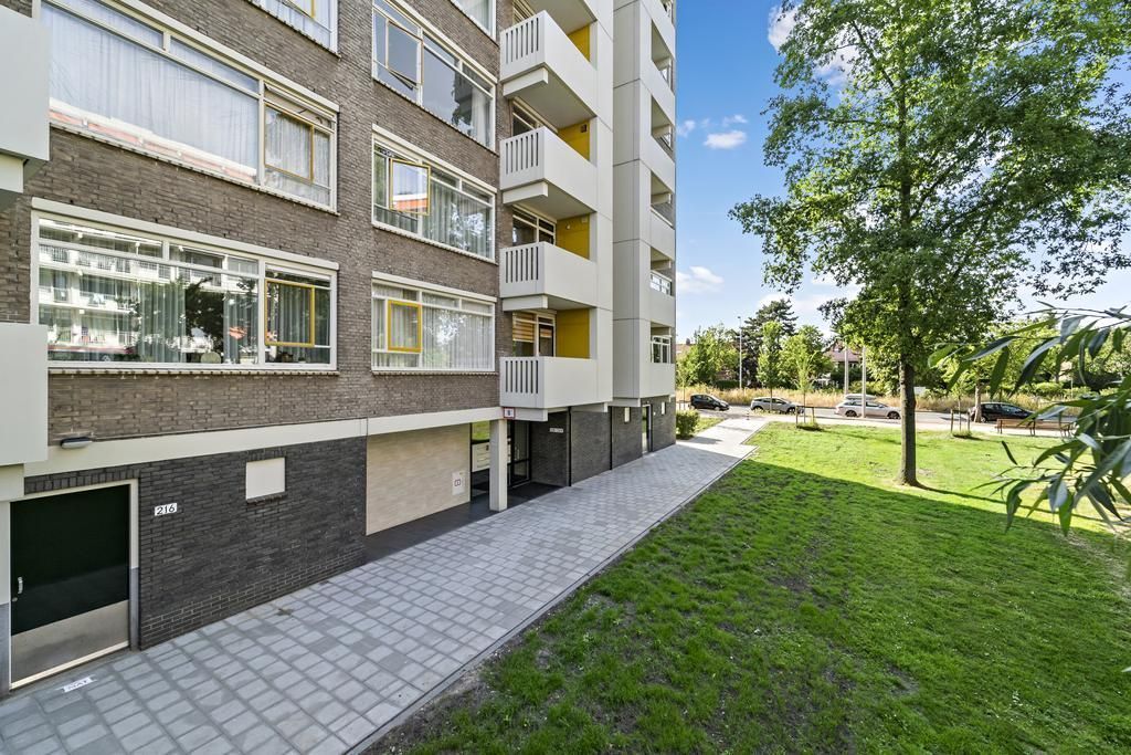 Suzannaland 222 Photo 3