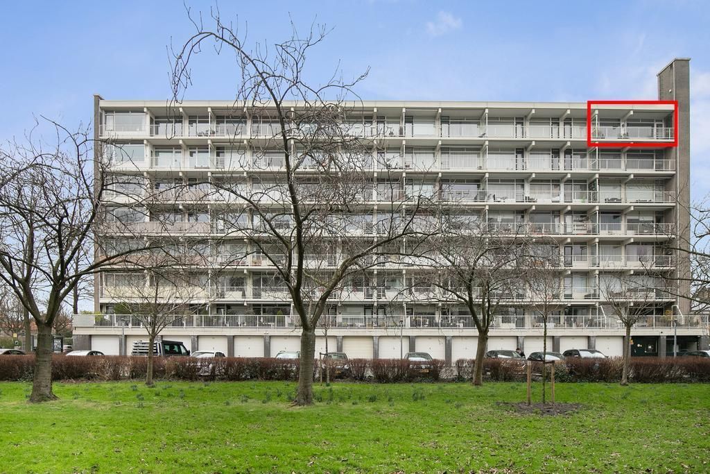 Suzannaland 418 Photo 4